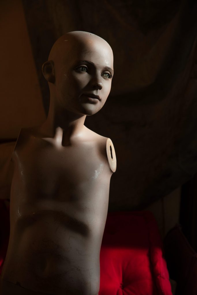 Photo 2 683x1024 - Photographs