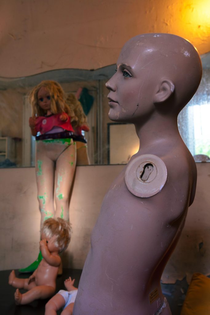 Photo 3 683x1024 - Photographs